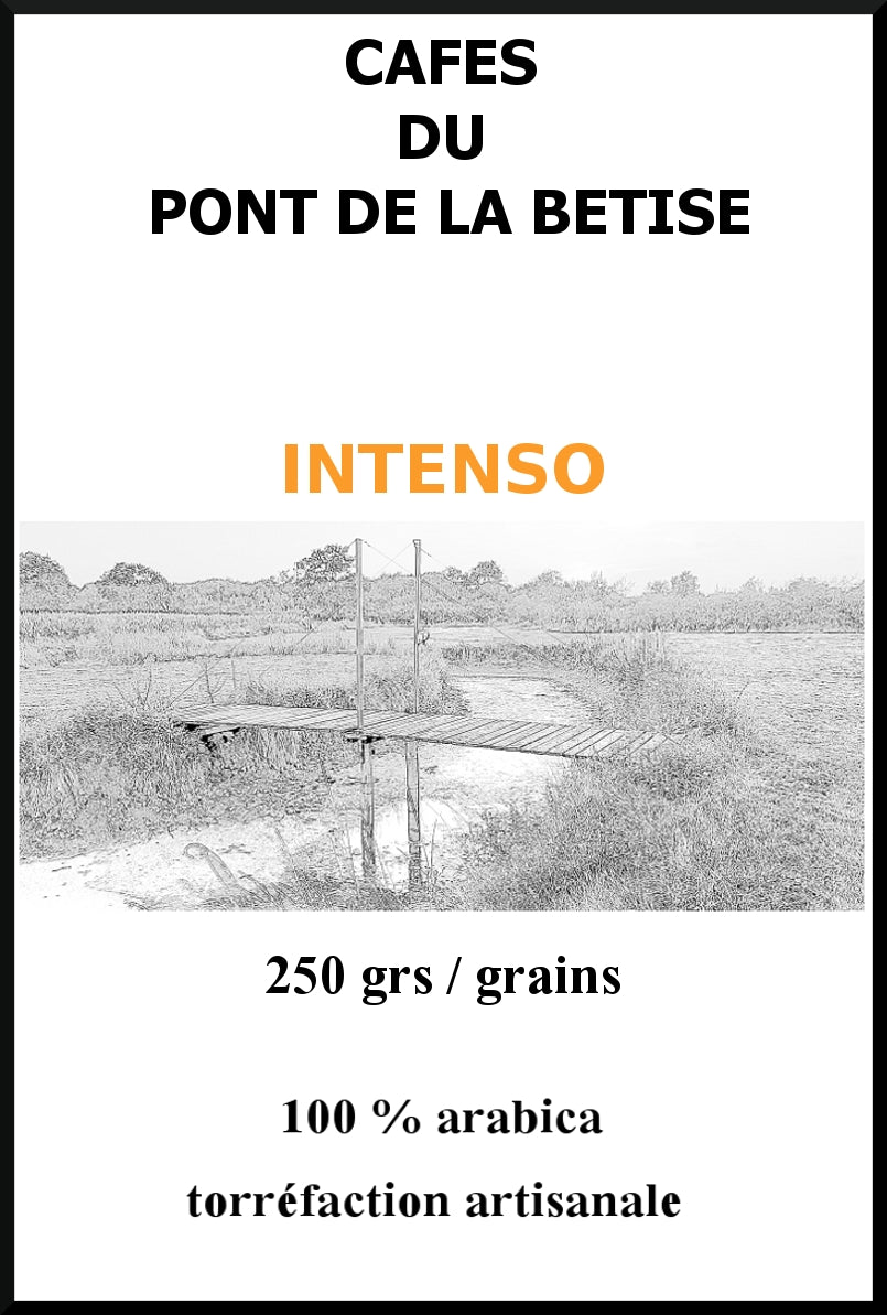 INTENSO