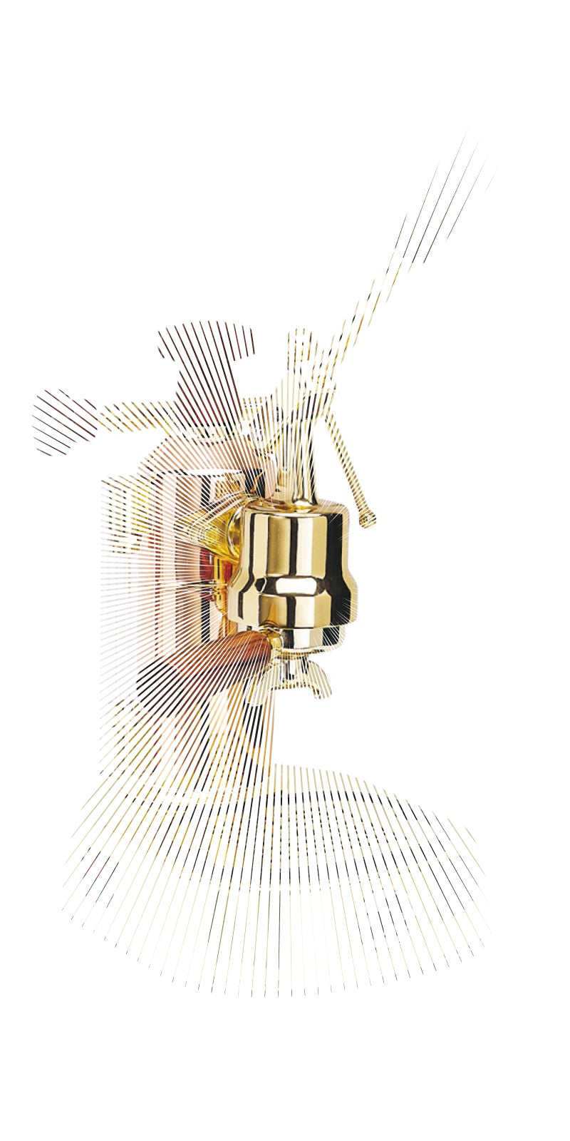 prodistec.fr-la pavoni europiccola